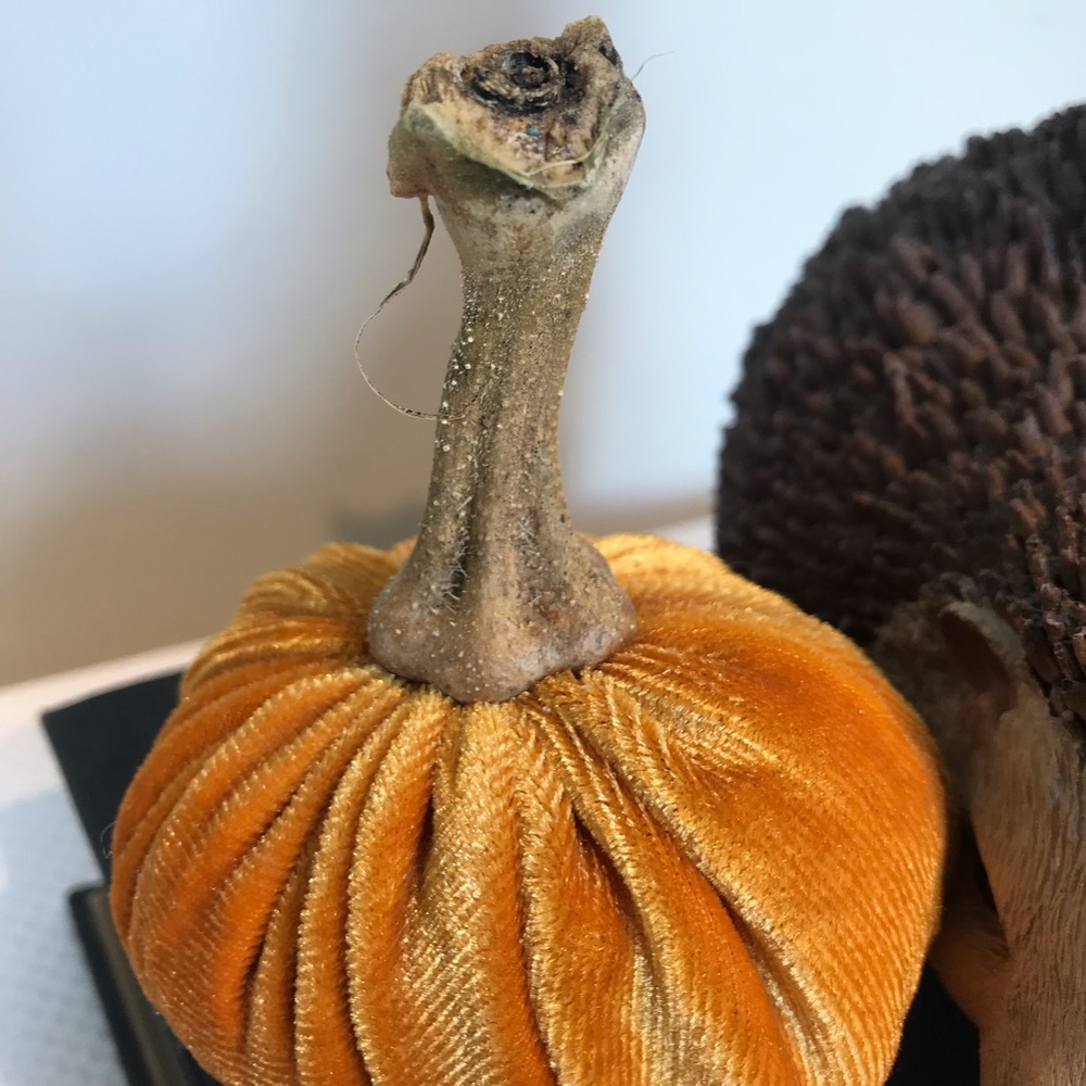 Velvet pumpkins - Picture 5 of 5